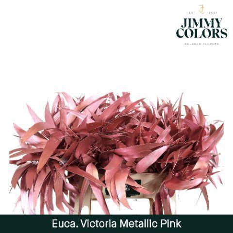 Eucalyptus globulus kleurbehandeld H%