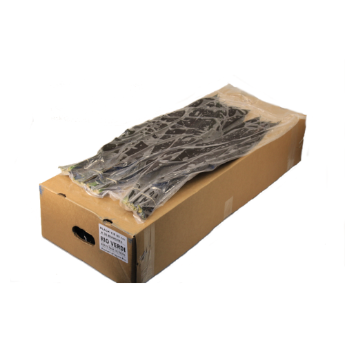 Cordyline fruticosa Black Tie