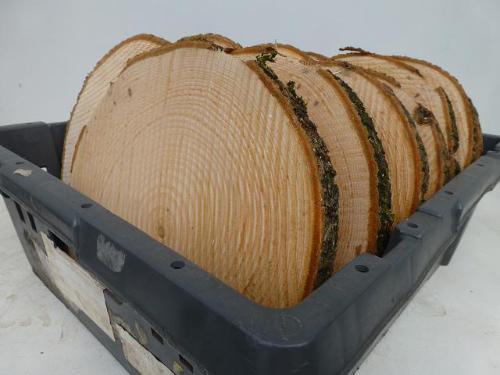 Huis en Tuindecoratie overig 6%