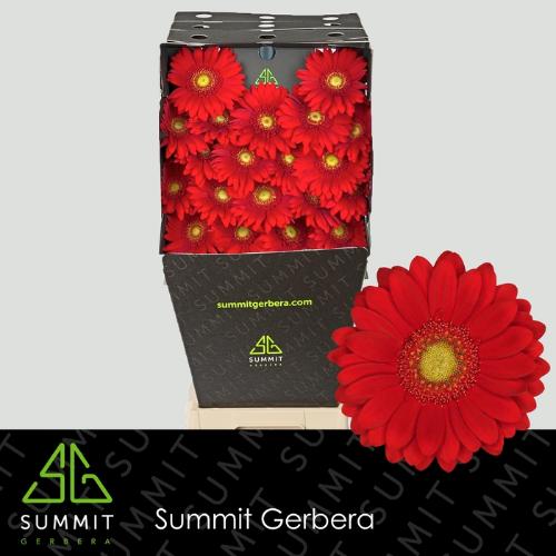 Gerbera mini Lipstick
