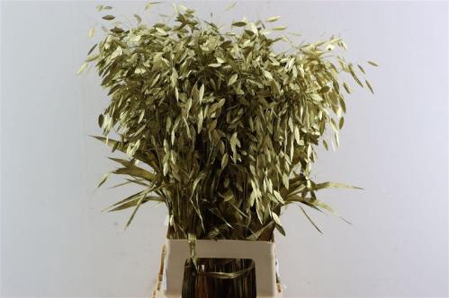 Snijbloemen overig kleurbehandeld H%