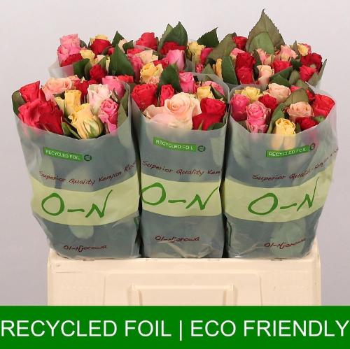 Rosa grootbloemig Tacazzi Gemengd