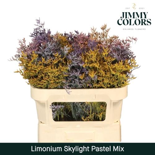 Limonium overig kleurbehandeld H%