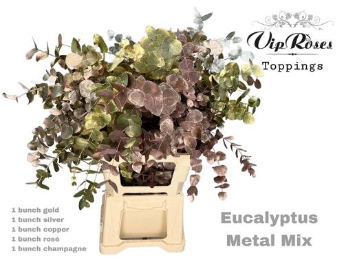 Eucalyptus cinerea kleurbehandeld per bos H%