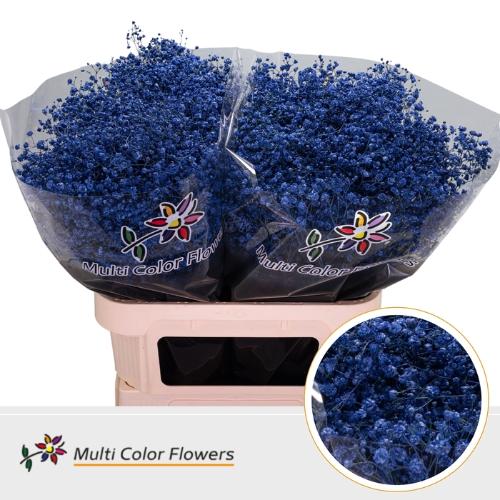 Gypsophila overig kleurbehandeld H%