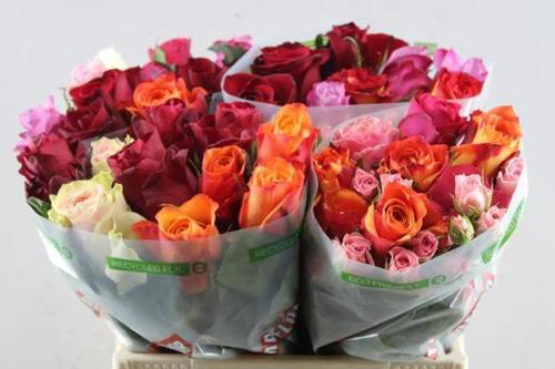 Rosa grootbloemig gemengd in bos