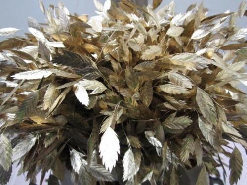 Siergras kleurbehandeld H%