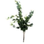 da6492ec-dede-415f-94b0-eb4f14276b75.webp