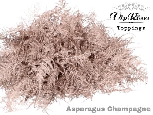 Asparagus overig kleurbehandeld H%