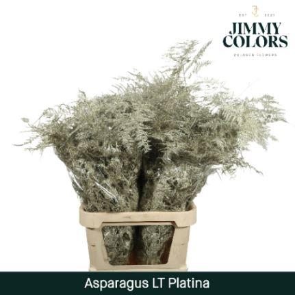 Asparagus overig kleurbehandeld H%