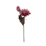 dahlia-um-stopkova.jpg