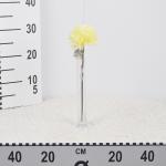 dalia-mini-120-1200-szt.jpg