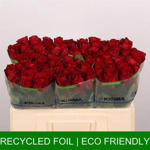 Rosa grootbloemig Madam Red