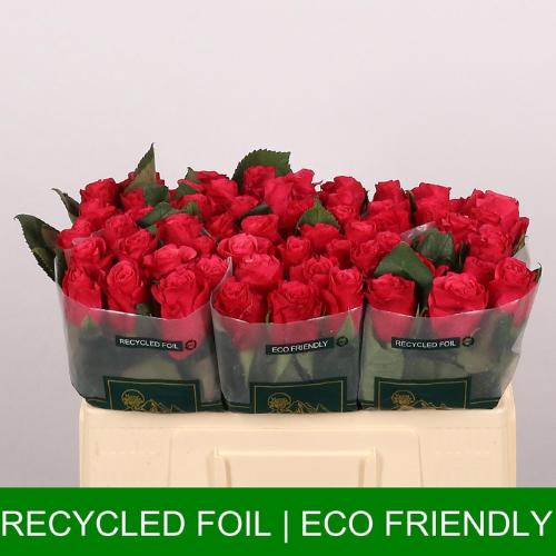 Rosa grootbloemig Tacazzi+