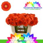 dba94112-a301-4b97-a4ae-7ca2f59d1134.jpg