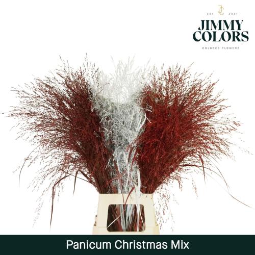 Siergras kleurbehandeld H%