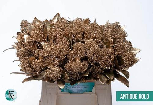 Skimmia per bos overig kleurbehandeld H%