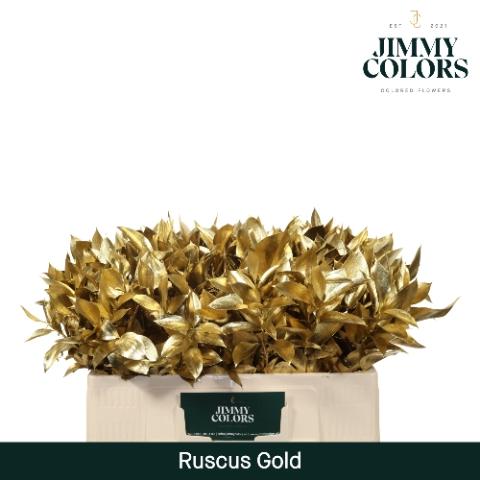 Ruscus kleurbehandeld H%