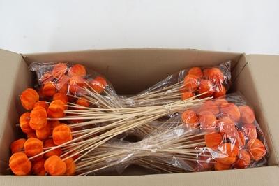 Huis en tuindecoratie overig H%