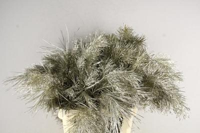 Decoratiegroen kleurbehandeld H%