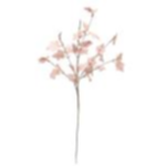 dc76f178-05fe-4f25-bbf1-9a0d37e3a7ea.webp
