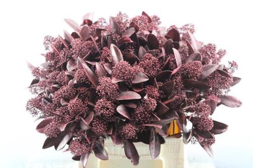 Skimmia per bos overig kleurbehandeld H%