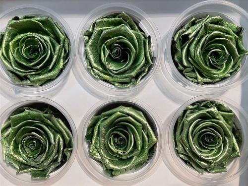Rosa grootbloemig kleurbehandeld H%