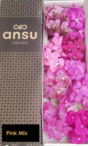 Vanda per tak gemengd
