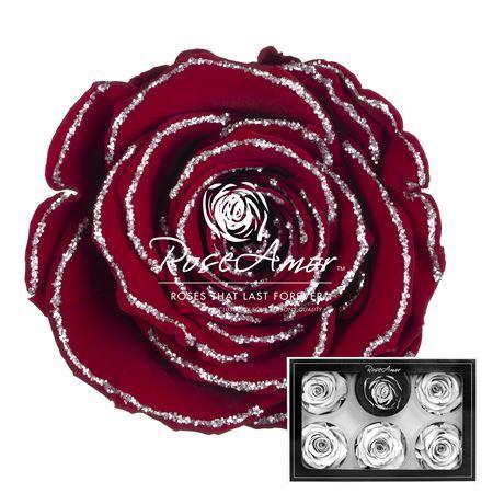 Rosa grootbloemig kleurbehandeld H%