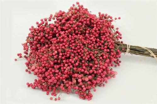 Schinus molle (decor met bes) per bos