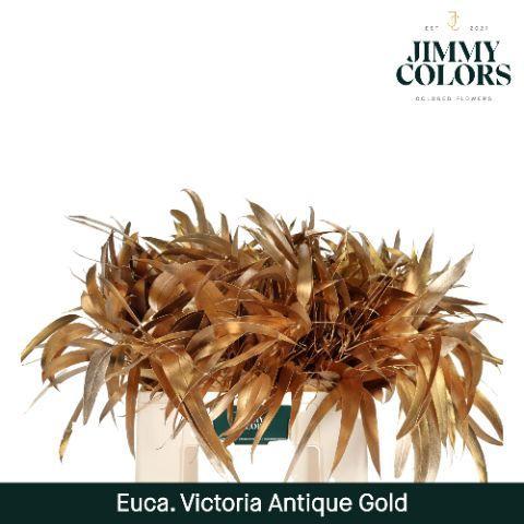 Eucalyptus globulus kleurbehandeld H%