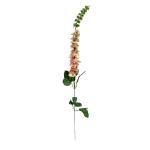 delphinium-margaretka-mini-mix-latkove-stopkove.jpg