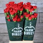 df0c9c9b-a9c3-4a55-9ac3-38ba064149d2.jpg