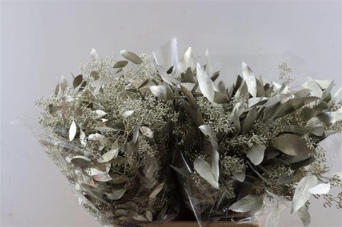 Eucalyptus kleurbehandeld per bos H%