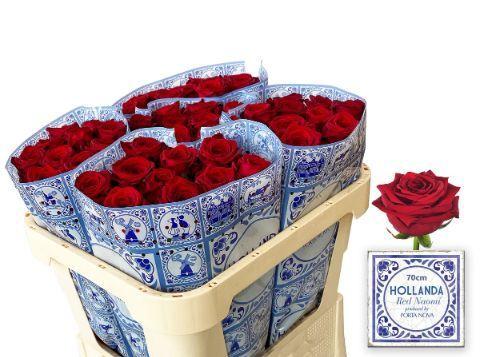 Rosa grootbloemig Red Naomi!