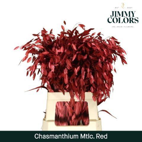 Siergras kleurbehandeld H%