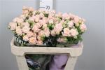 dfd7018c-3d3c-4abb-ad6b-6825ca8f103e.jpg