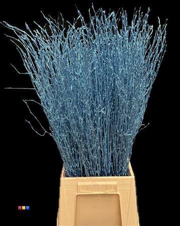 Betula per bos kleurbehandeld