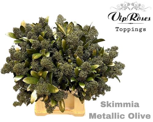 Skimmia per bos overig kleurbehandeld H%