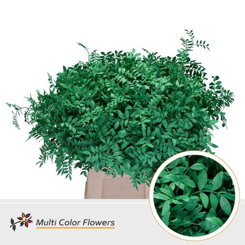 Decoratiegroen kleurbehandeld per bos H%