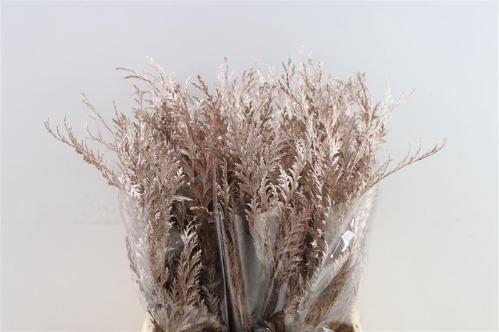 Decoratiegroen kleurbehandeld H%