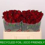 e0d6515b-fe5c-4cbd-b173-8e15549a11ac.jpg