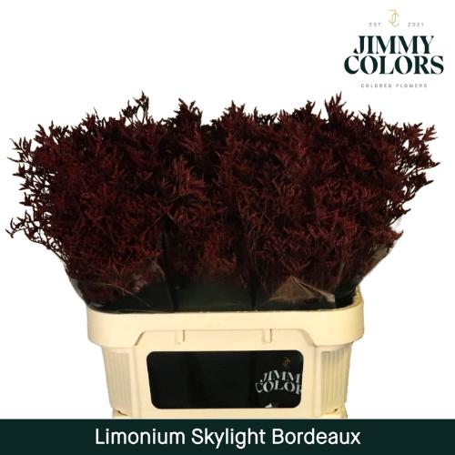 Limonium overig kleurbehandeld H%