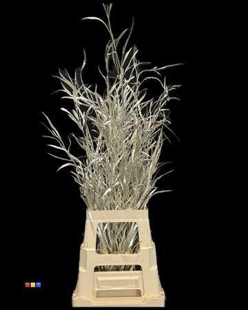 Decoratiegroen kleurbehandeld per bos H%