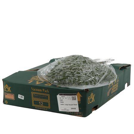 Arachniodes adiantiformis per bos