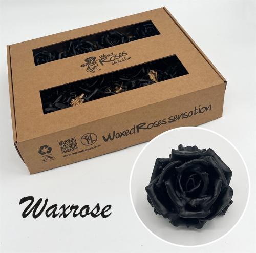 Rosa grootbloemig gewaxt H%