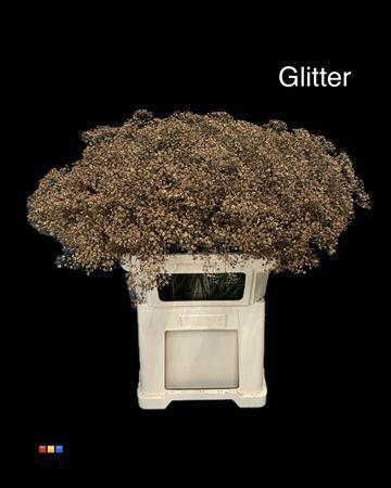 Gypsophila overig kleurbehandeld H%