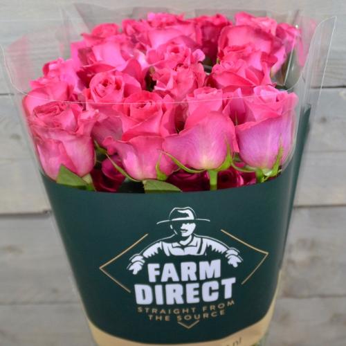 Rosa grootbloemig Pink Floyd!