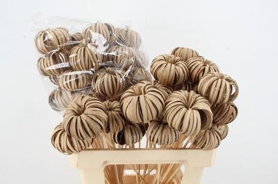 Huis en tuindecoratie overig H%