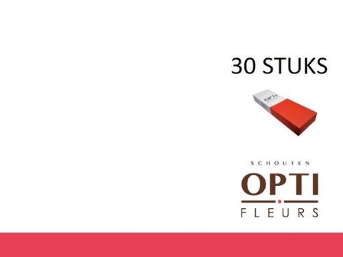 Gerbera grootbloemig overig